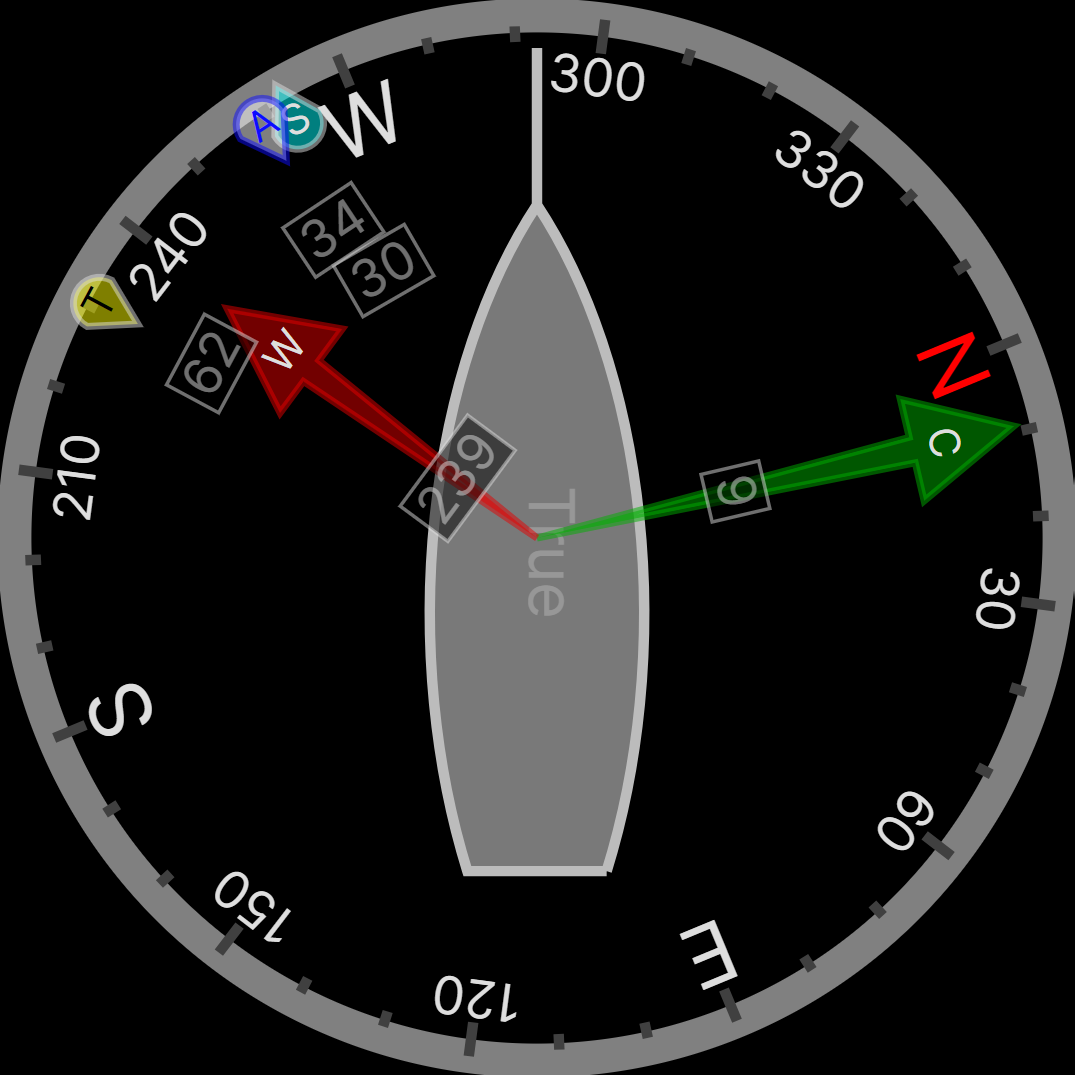 Conning page compass display